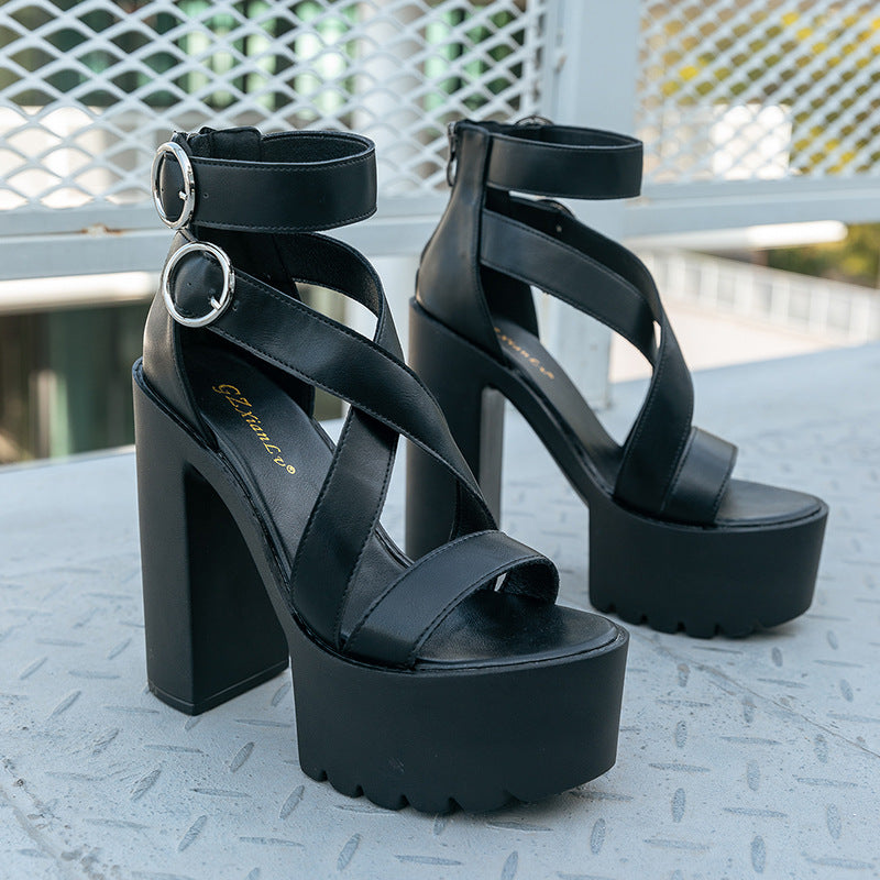 New Women's Shoes With Thick Soles And High Heels